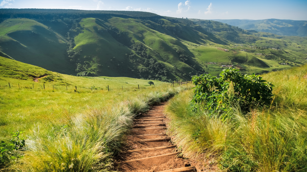 Navigating the legal landscape of debt collection in New Zealand, hiking trail in New Zealand