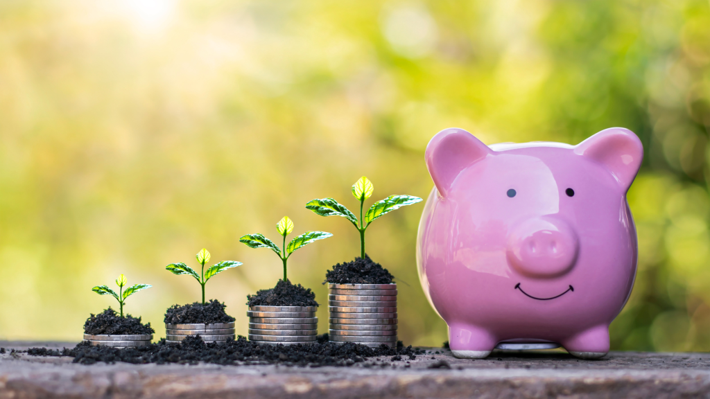 Funding options for small businesses in New Zealand image of plants growing on coins