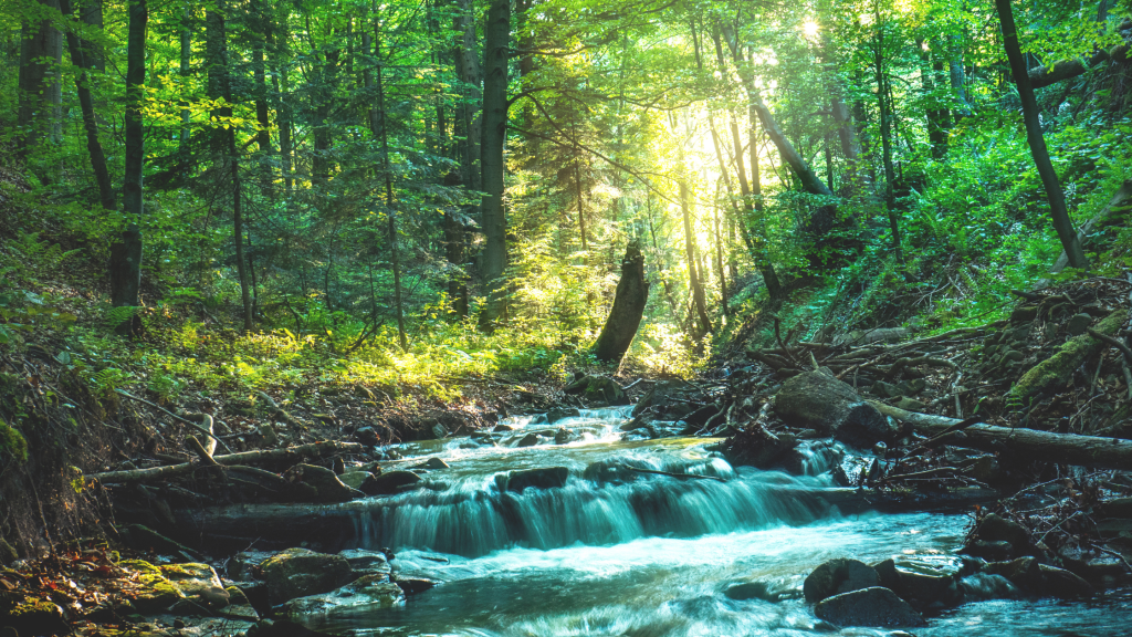 How to keep cash flowing image of river flowing in New Zealand